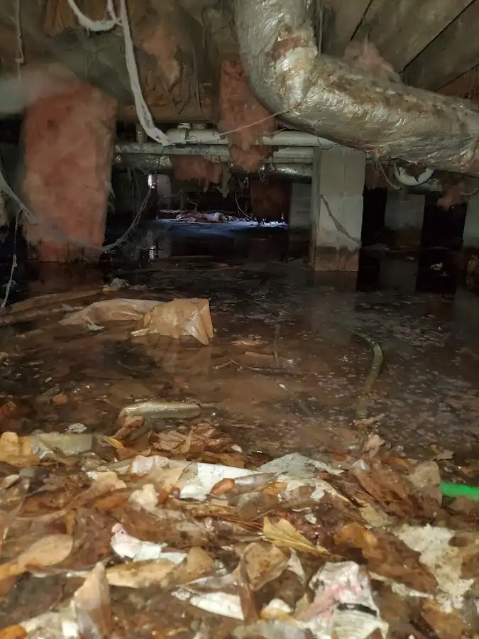 Crawl space flood assessment for Commercial Water Damage Restoration in Hillcrest